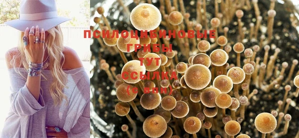 mdma Каменногорск