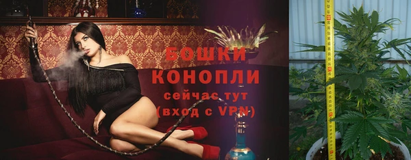 mdma Каменногорск